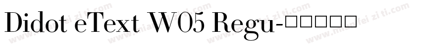 Didot eText W05 Regu字体转换